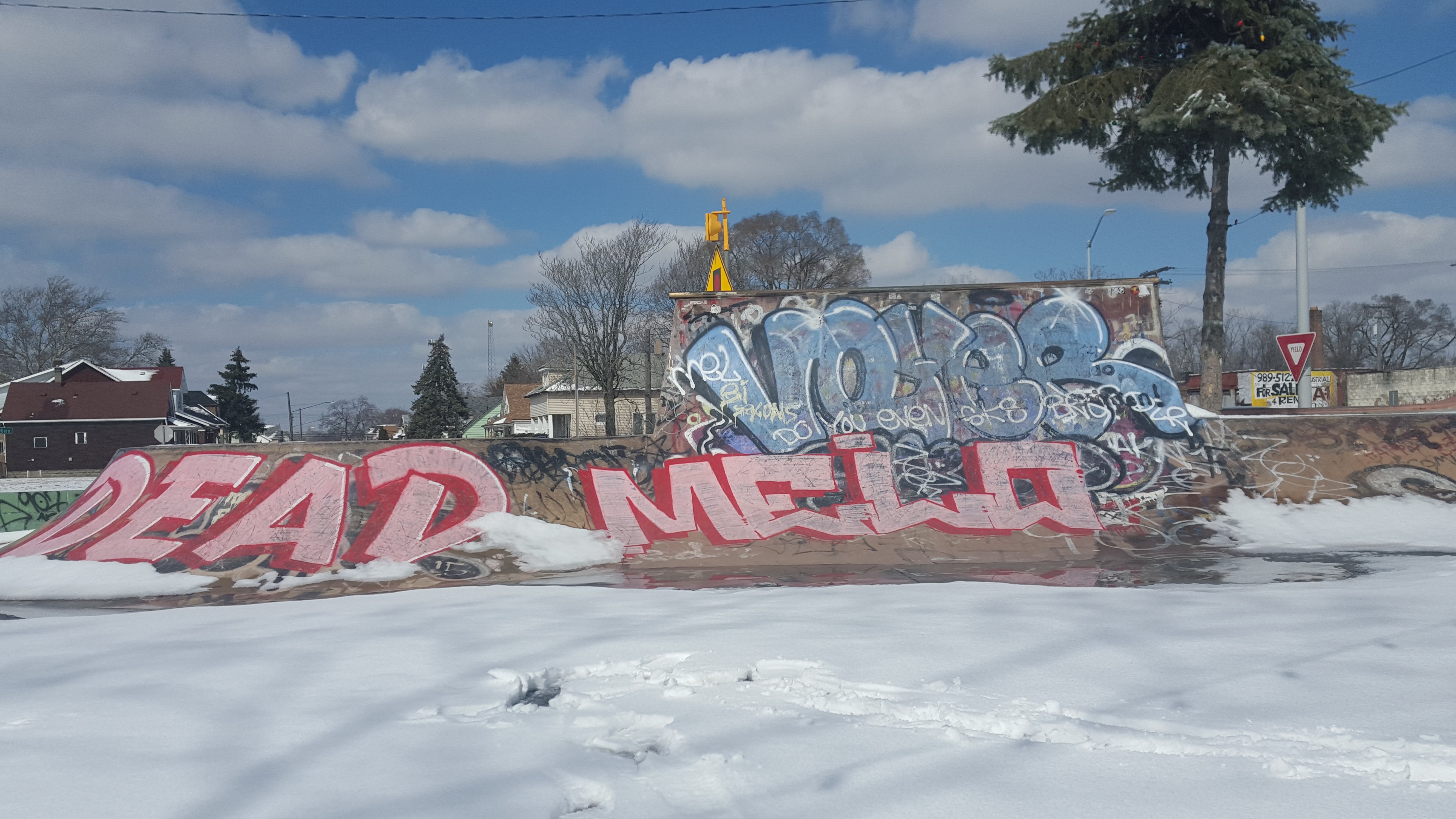 Skateboard ramp with pink and blue graffiti.