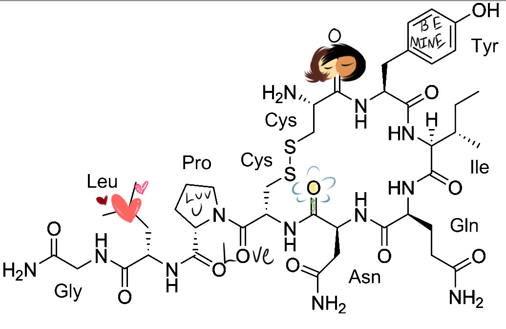 A technical illustration of the chemical bonds that make up oxytocin. It has several cute notations with hearts, kissing faces, and little note like 'be mine'.