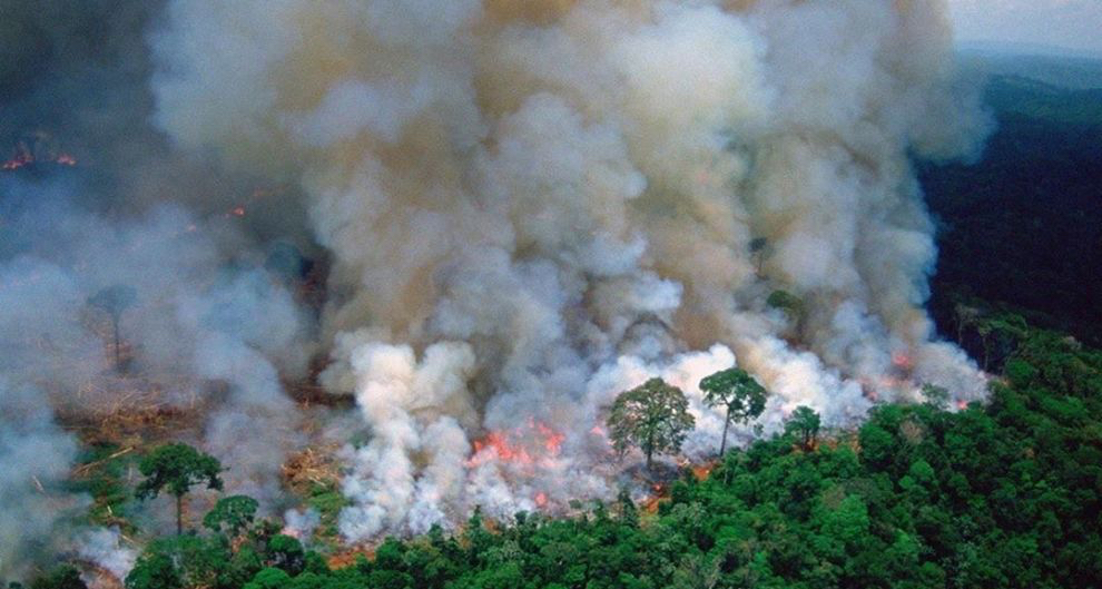 Image shows the Amazon rainforest burning