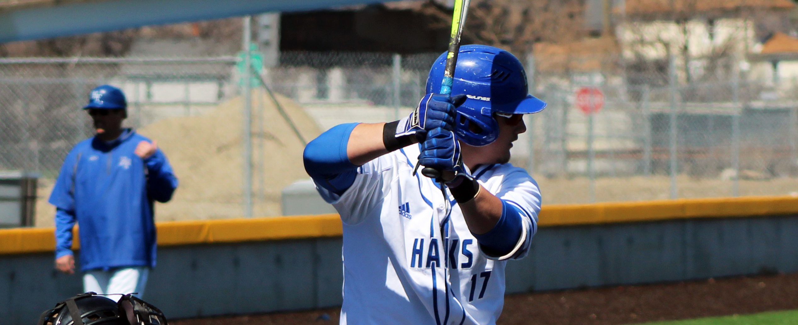 Henry Ford College baseball player at bat courtesy Hawks Athletics