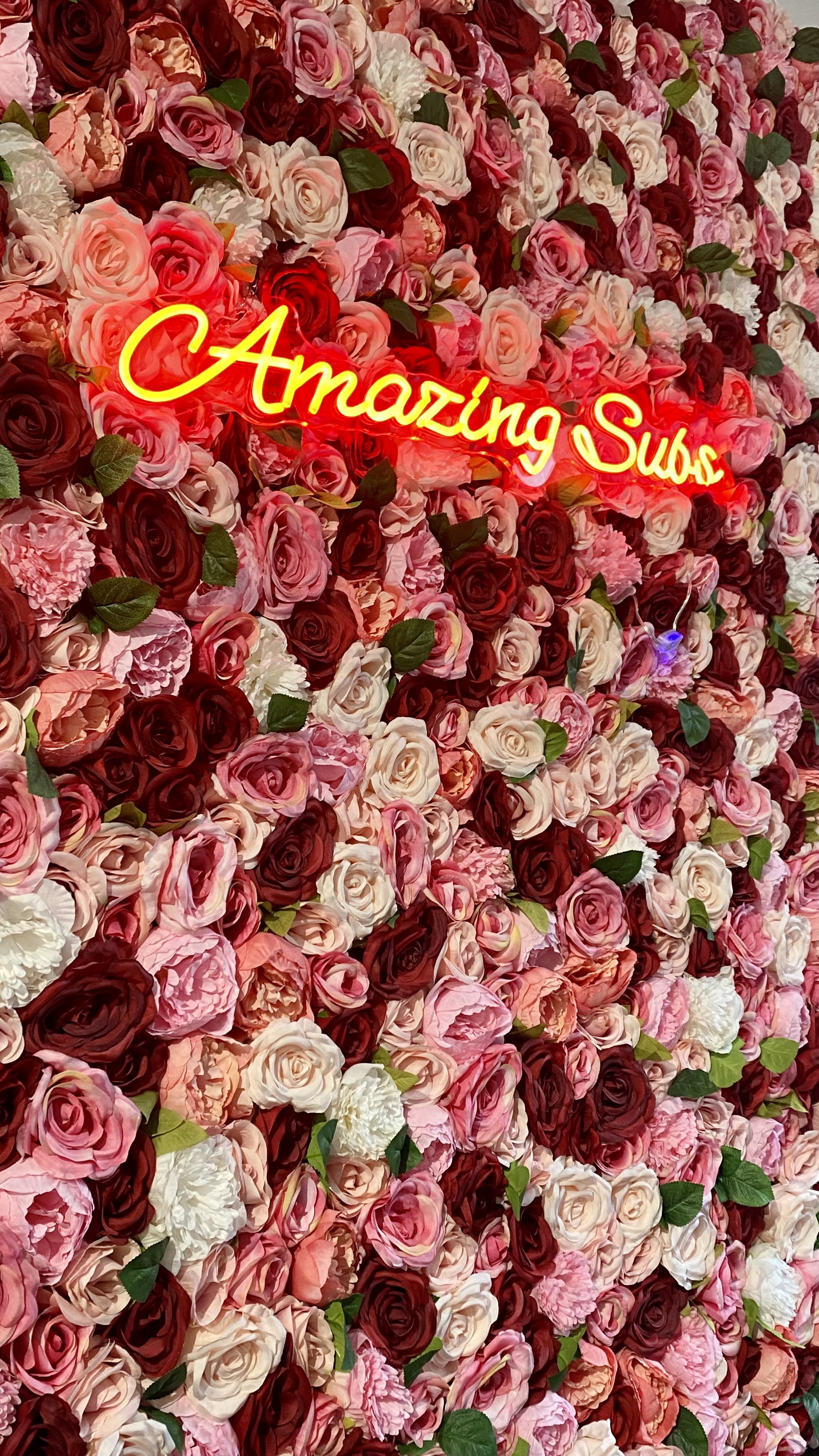Beautiful floral background, perfect for taking pictures with friends and family to spread the word about Amazing Subs- Photo by Zynab Al-Timimi