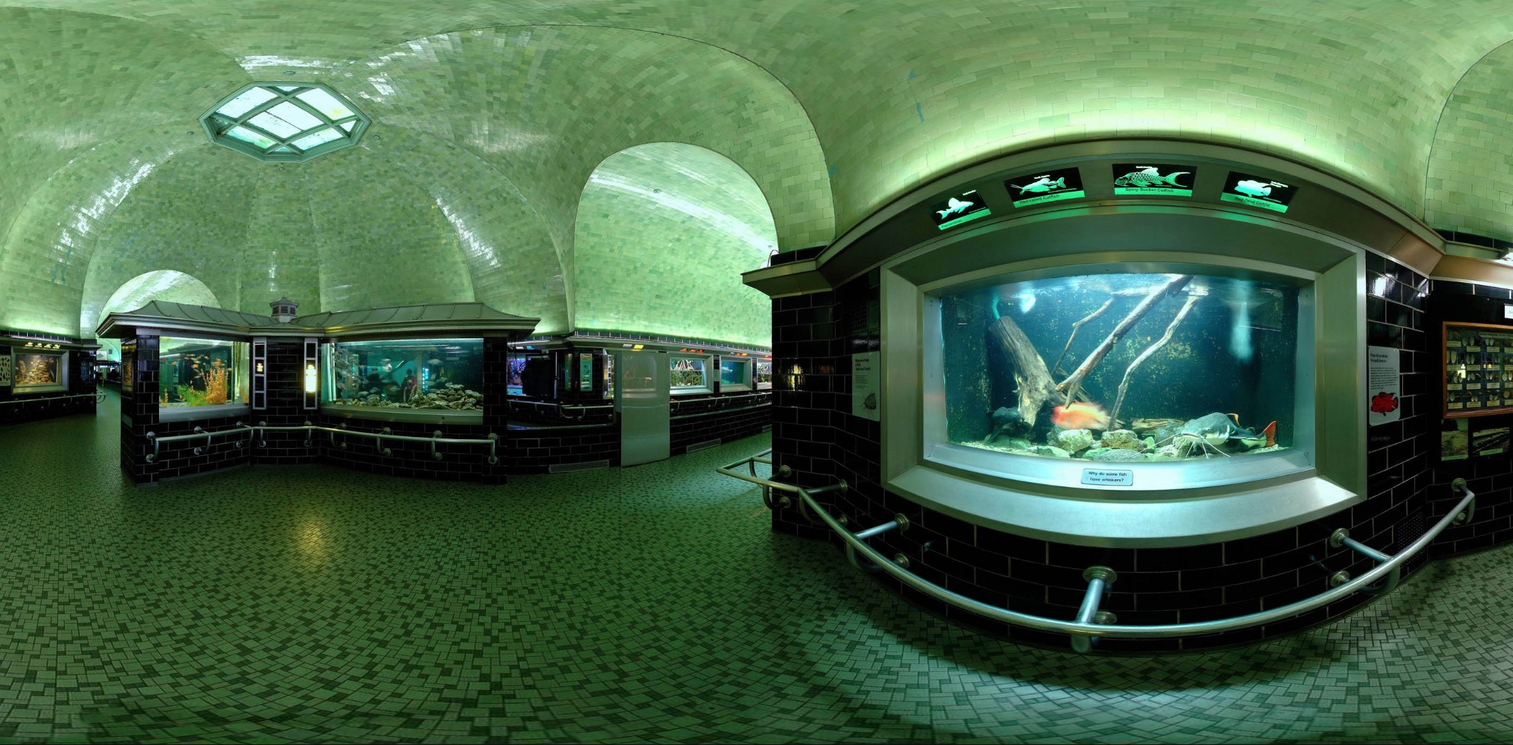 Belle Isle Aquarium in Detroit underwent extensive renovations in recent years. Photo by Jamie Wasilchenko courtesy AwesomeOcean.com