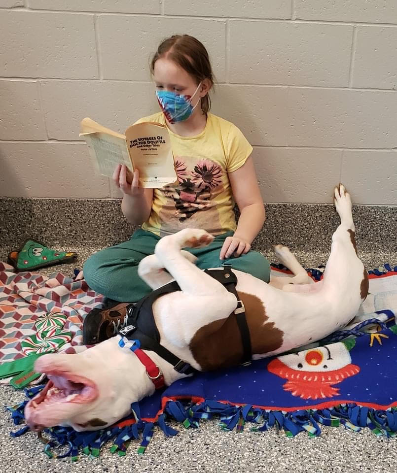 Elizabeth reading to Doug at Read to Rover program courtesy Friends of Animals Metro Detroit