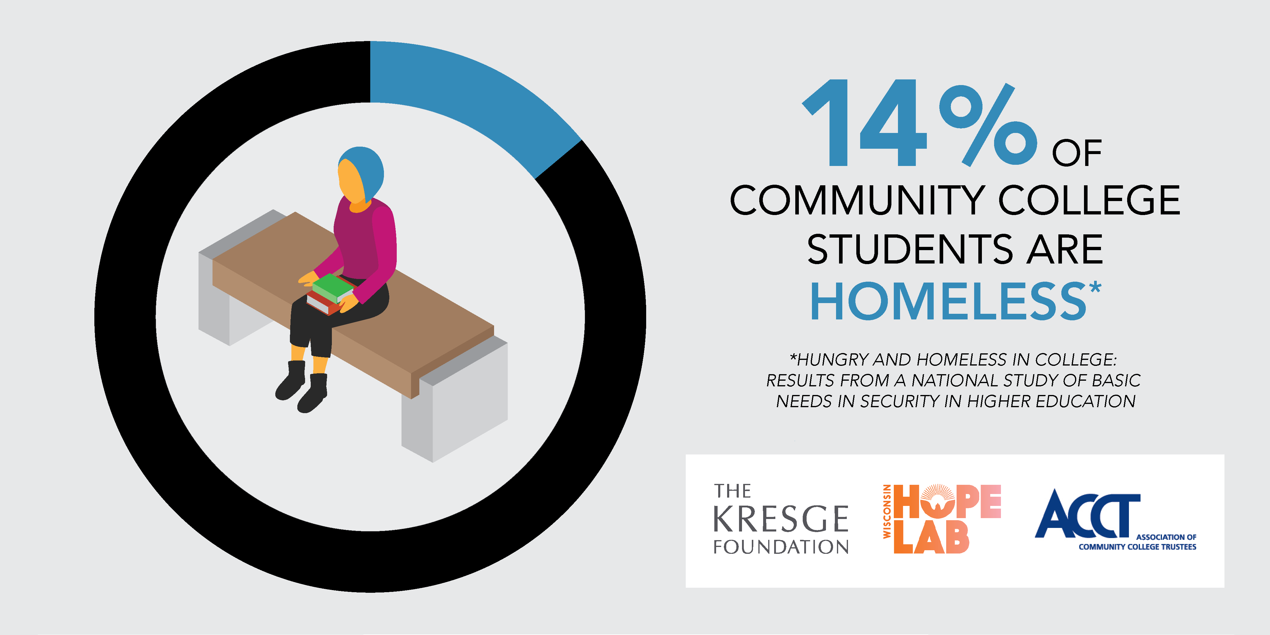 Inforgraphic shows that 14% of community college students are homeless