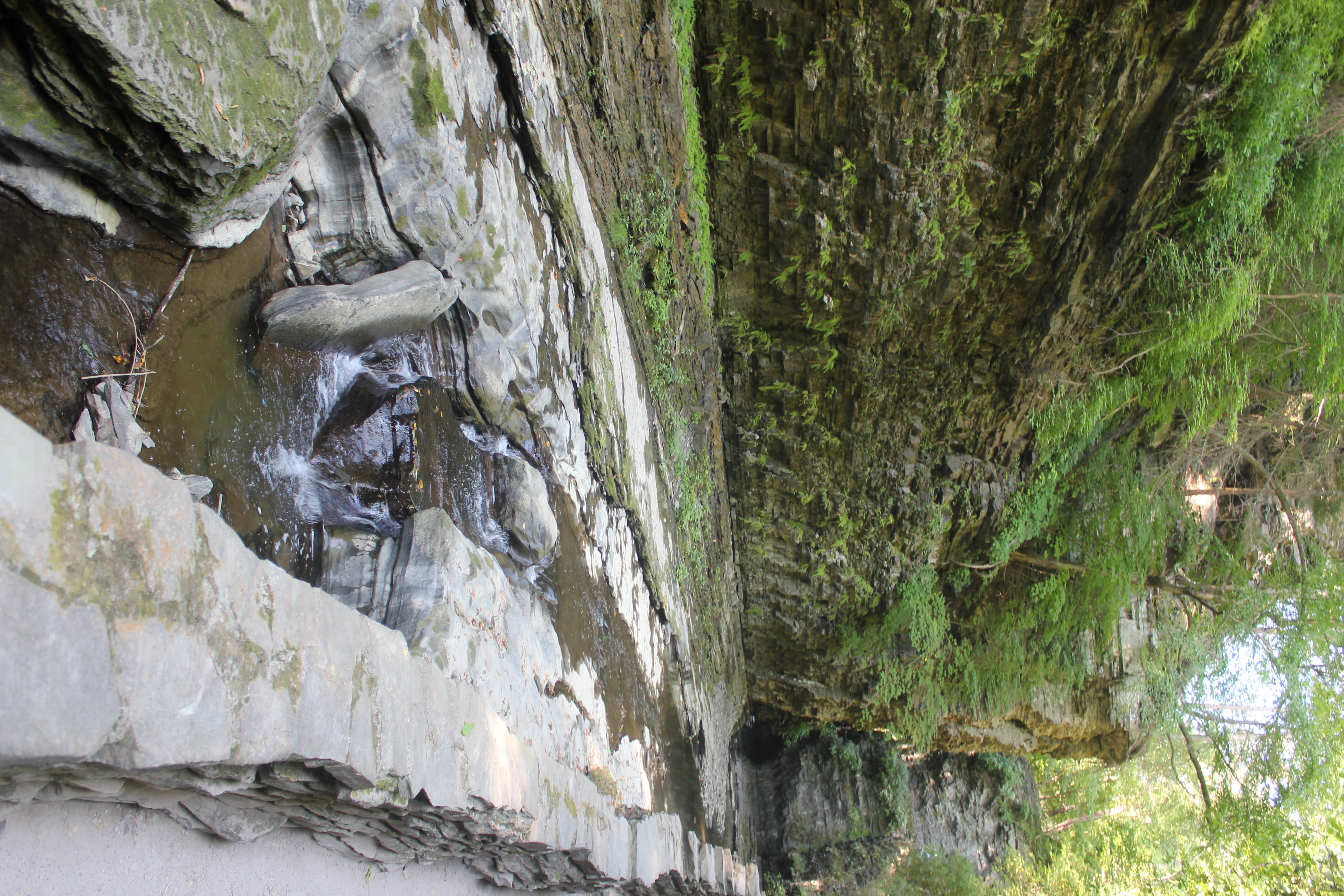 Watkins Glen State Park, New York. Photo by Christopher Namyst Watkins Glen State Park, New York. Photo by Christopher Namyst