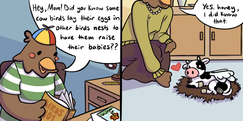 Lil' Hawkster reads about cow birds, which lay their eggs in the nests of other birds so that the other bird will feed and raise it. Momma Hawkster already knows about cow birds having to raise one herself.