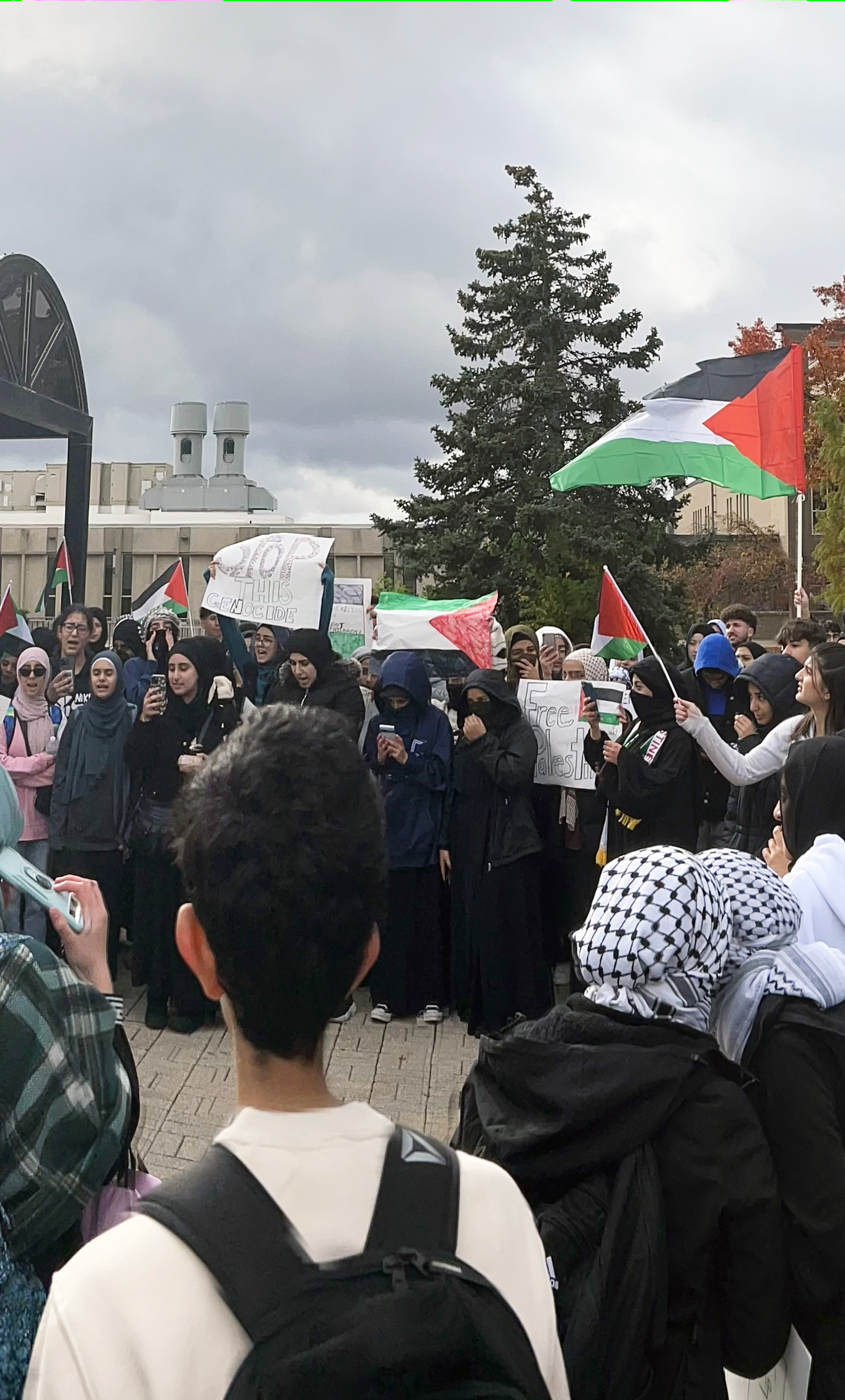 Rally to Support Palestine, Nov. 1, 2023, at Henry Ford College, Dearborn, MI