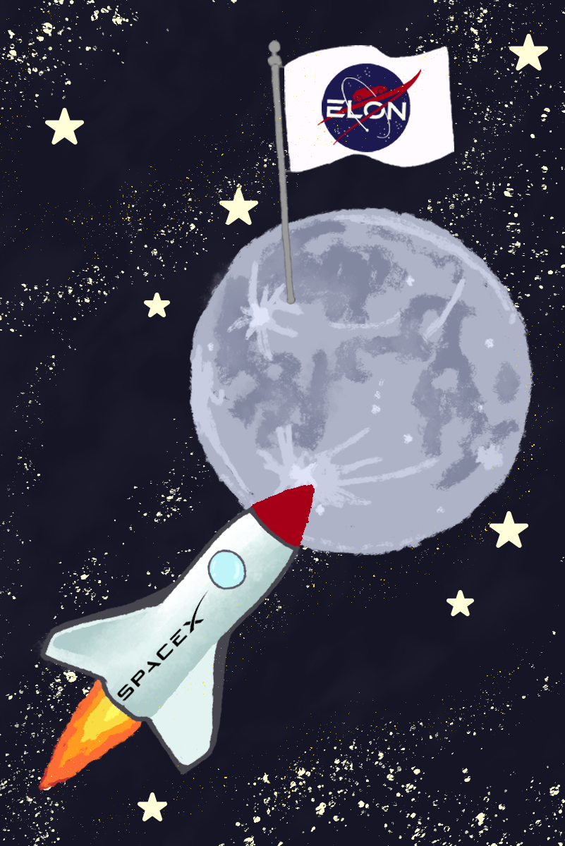 Illustration by Malena Cervantes
