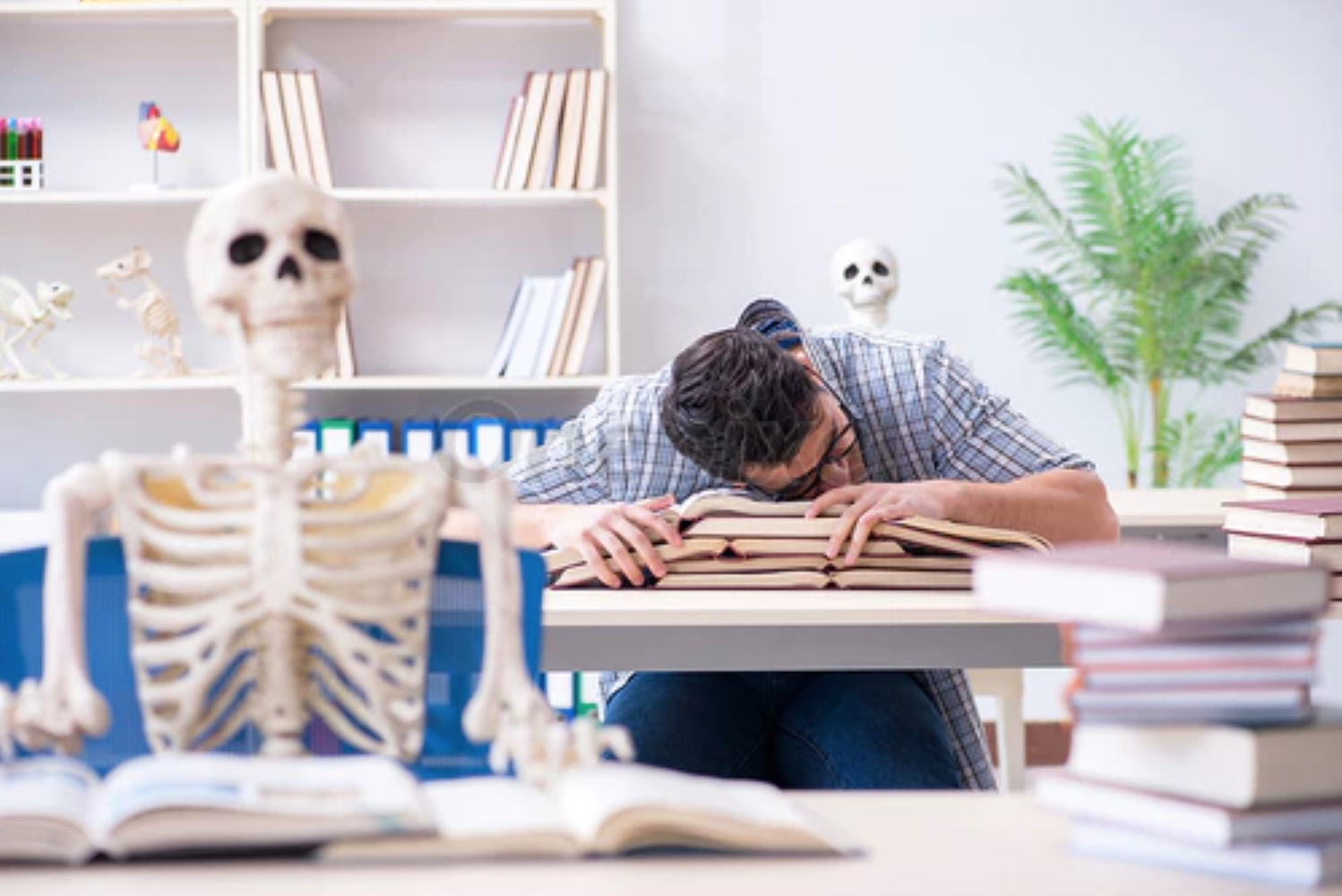 Photo of two skeletons and a student 