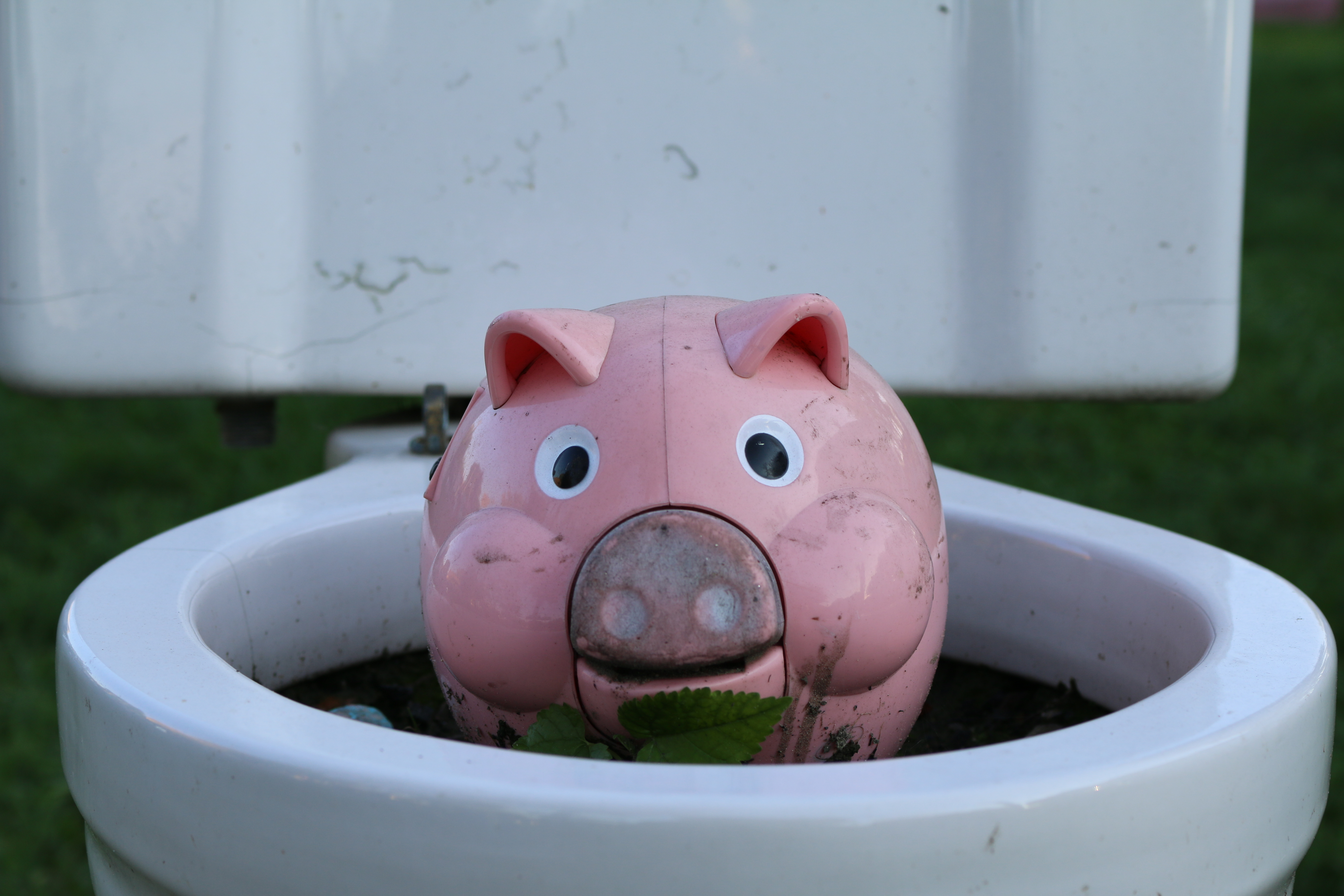 Close up of pink toy pig in a bowl