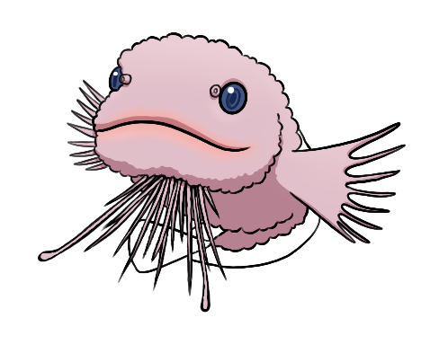 Drawing of bumpy snailfish by Megan Lambert Drawing of bumpy snailfish by Megan Lambert