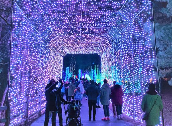 "Wild Lights" tunnel at the Detroit Zoo photo by Lillian Grantham  