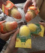 Hong Qi Propitious Ice Cream