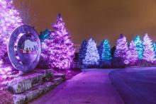 "Wild Lights" path at the Detroit Zoo photo by Lillian Grantham  