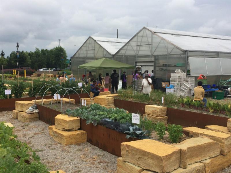 An urban garden is filled with several types of greenery and has two greenhouses in the middle. People stand outside.